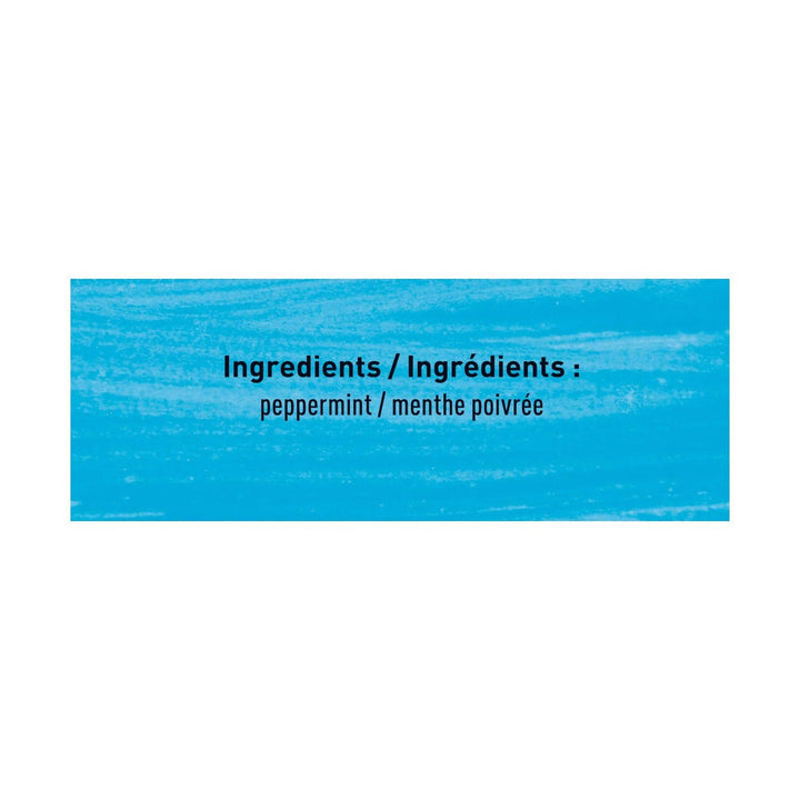 Higgins &amp; Burke Peppermint Patch Filterbag Tea 20 Count